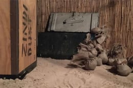 The Pirates Forbidden Jungle