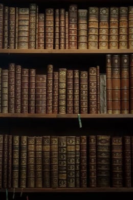 Librarian's Revenge