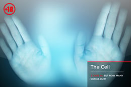 The Cell