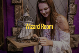 Wizard School