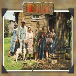 Hillbilly Livin