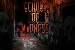 Echoes of Madness