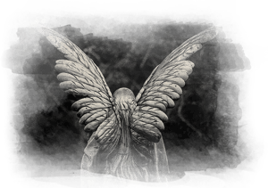 store/s/000ae58f-a4ca-4b2e-9ef4-3545b28620c3.png