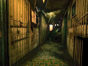 store/s/00166672-1d7b-4c1c-826d-d1afca9f9bbe.jpeg