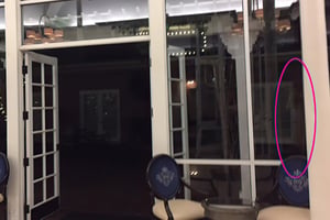 store/s/00754d79-9005-4171-aee5-688702e9113d.jpg