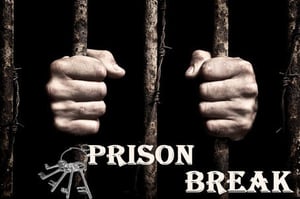 store/s/011d8ac7-e707-462d-ad32-2b33a94fc1b3.jpg