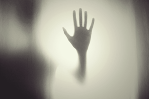 store/s/07ecc723-7650-4147-91d6-a63e1693548e.png