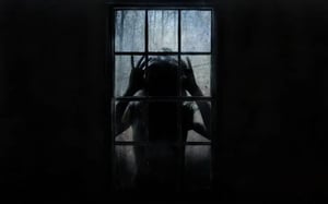 store/s/09299cea-f98f-4c05-9176-ab7a484d4253.webp