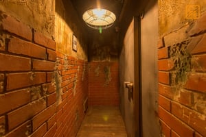 store/s/0c983c3a-f289-4f24-9596-2642ddf6e479.jpeg