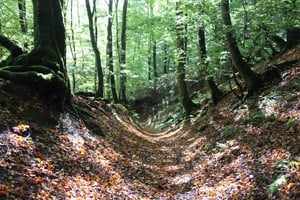 store/s/0e069351-8e66-49c2-9179-0a07bfb330f1.jpg