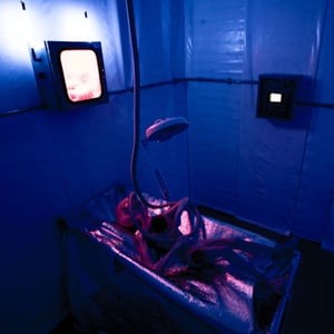 store/s/0e51fe9c-dda8-4410-b380-69c872922c23.jpg
