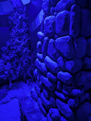 store/s/10d798bc-aa39-4843-a413-52af10072e0f.jpg