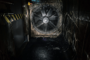 store/s/154d790a-0277-4cf3-a835-a0de90f8c8f0.png