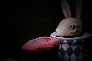 store/s/15a05f29-a7e3-4ae6-8c28-3fcf8a91a3fe.jpg