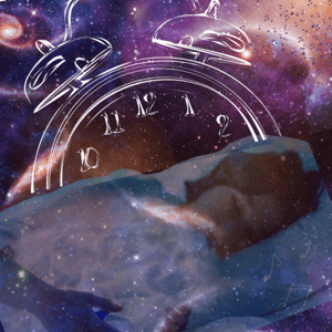 store/s/167b151b-c4ff-49a5-a53d-102a37295535.png