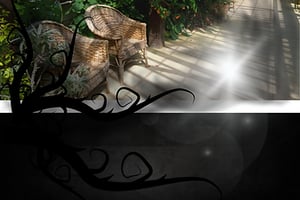store/s/168b9897-6f72-48e5-a9c0-5fc3a6b07445.webp