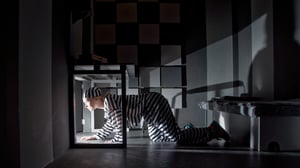 store/s/19222e78-3d4f-4aaa-aa20-81bd7f420ed3.jpg