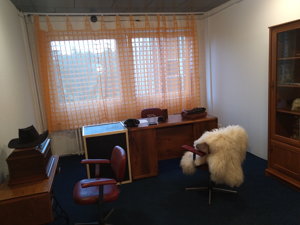 store/s/196d04e5-6185-48b4-b311-bcd7498026fb.jpg