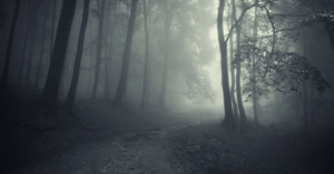 store/s/1a821b40-081c-4a42-bc41-7f2450e66aa2.png