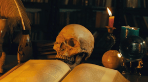 store/s/1b4702b8-a0cf-4b4a-bd4c-d1a97e98f25c.png
