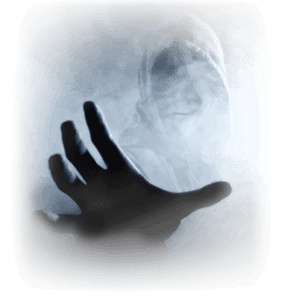 store/s/1b6089e9-2dfe-455d-bca6-f38e15104246.png