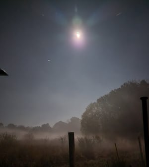 store/s/1d4d535d-0f12-4837-882f-ece79be9fae5.jpg
