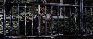 store/s/22975414-ea65-49fe-bf85-775ad9e7e9f0.png