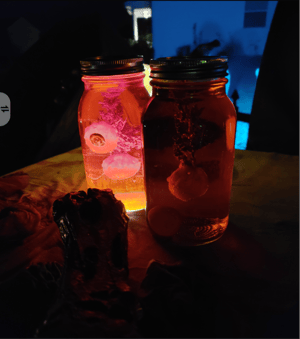 store/s/2422251e-e231-4223-9f10-b29ebbff1df6.png