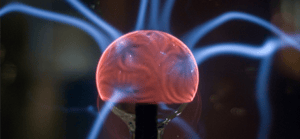 store/s/246d1e50-d9b3-4aaf-acdb-c61bffb3a144.png