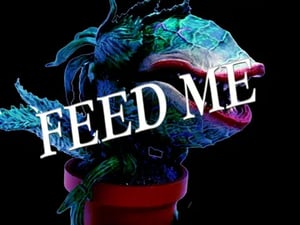 store/s/25b66470-9d95-4eca-9d69-176a7f815624.webp