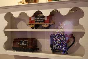 store/s/25ff62b6-4300-465b-93a5-14a90d3f09b0.JPG