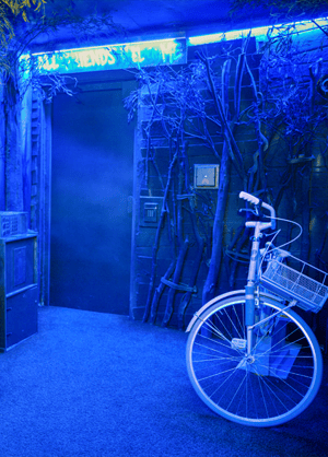 store/s/266d7ff5-1af8-4c7f-9ef0-758e1bcf4a8a.png