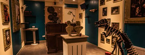 store/s/26e27ec1-aed8-46ec-a56c-921fdb9babf3.jpeg