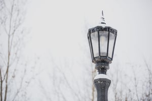 store/s/2945799d-5d20-496f-b0d4-eda132f57ecf.jpeg