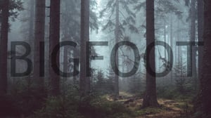 store/s/2a1a0054-7ee5-43d0-810a-2b78f439a3f1.jpg