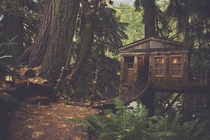 store/s/2c1448c6-4a84-4421-9e74-74d9377aec07.jpg