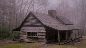 store/s/2d0e7d93-ac39-485a-882a-4691da9574ef.png