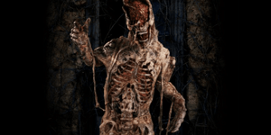 store/s/2d6818ea-2586-44b9-9a2a-e8929272d41b.png