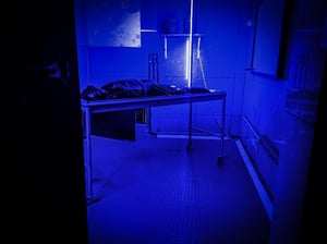 store/s/33c05912-8d74-4b87-8de1-e90867cb1b63.jpg