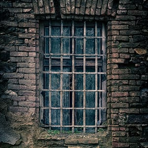 store/s/34c38e14-0669-4d61-8d50-2cd1ac1473fc.png