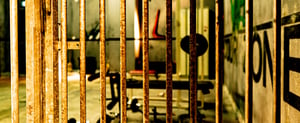 store/s/356d97d9-7961-4d22-9632-12e35c1a2a8b.jpg