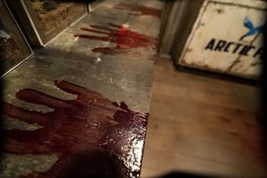 store/s/35b2f7f3-e4e6-4f4f-88be-cfeedbbcfc9b.webp