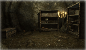 store/s/35d4591f-a927-4042-9488-9aac8f013b14.png