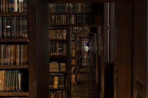 store/s/35d5dbeb-9fef-4ea4-9800-b58d5de5abe6.jpeg
