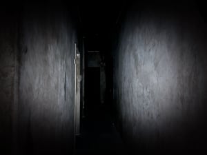 store/s/36357d0e-adec-4f9e-9dd4-9bf308bd45f2.jpg