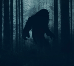 store/s/379bcde5-7b80-4e1d-8a1b-ab7c5b2245f5.png
