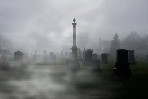 store/s/38866a99-a2a1-4d9c-8693-a6db72975845.jpg