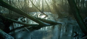 store/s/3a9dd3fc-8958-4b4c-9773-4e4684df1f28.jpeg