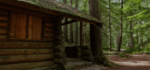 store/s/3ff335c4-d360-49dc-9b4b-f9d37d3500ed.png