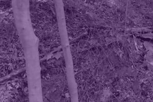 store/s/40634ac3d05eca2b95c6675ed1e4bc51.jpg